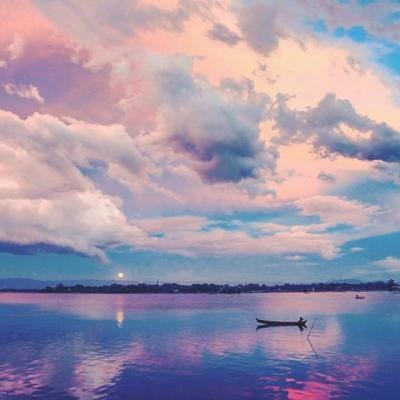 อั้ม พัชราภา avatar